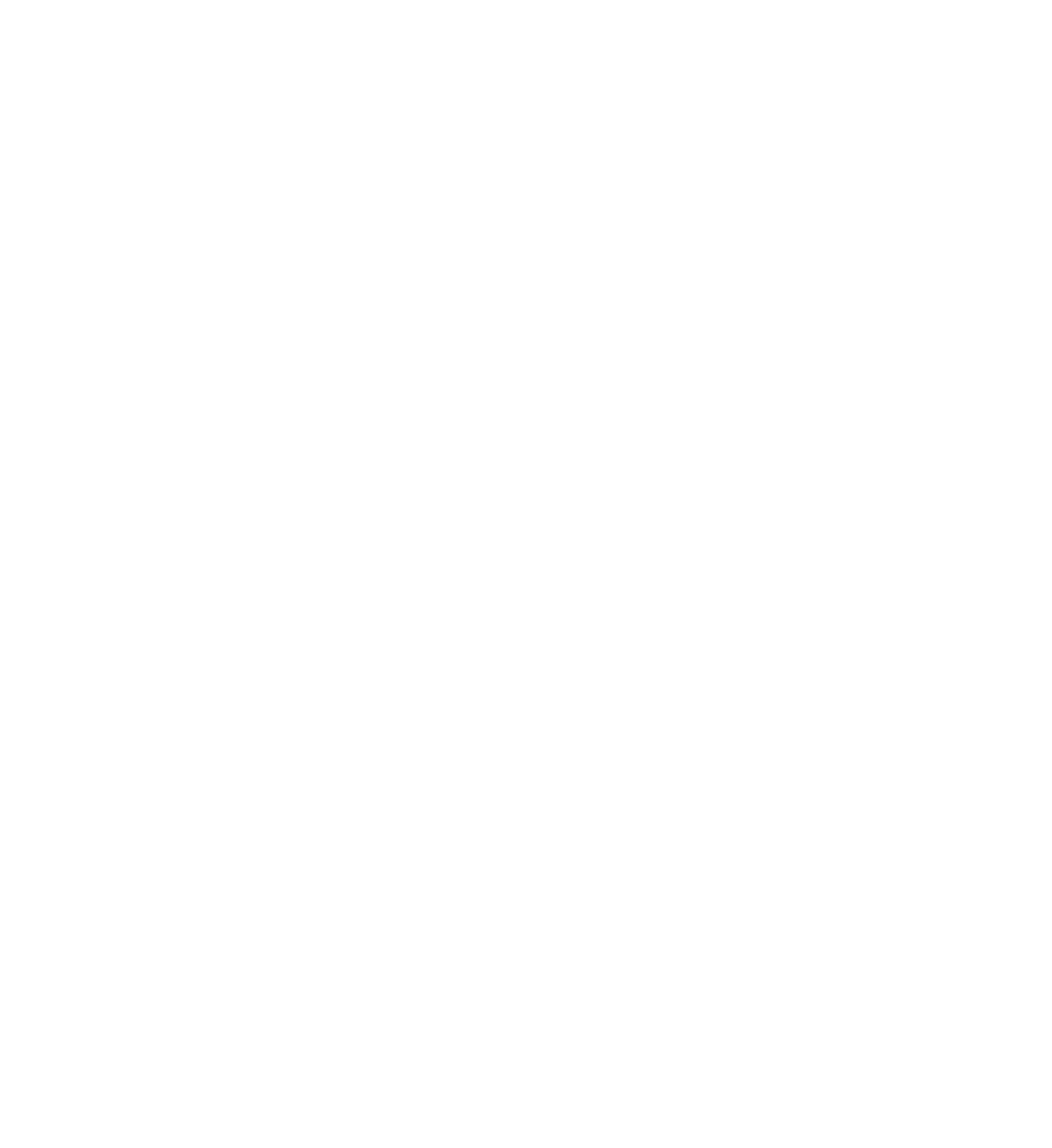 mandarin logo witte lijn